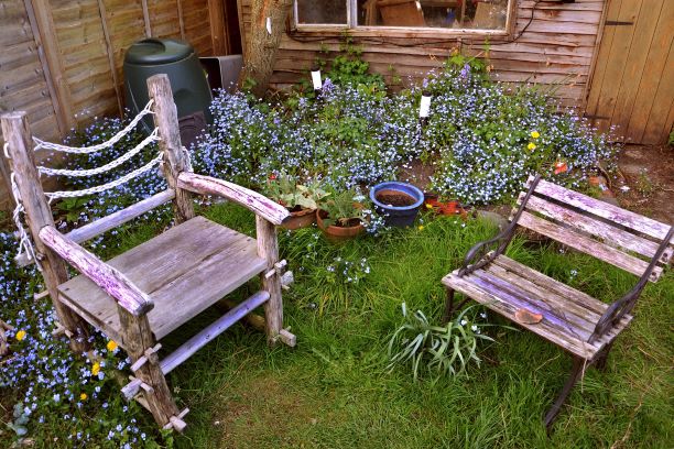 old wood chairs and purple flowers in back yard