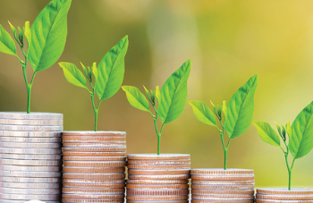 Plants growing out of coins